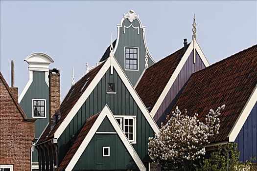 特色,木屋,17世纪,屋顶,历史名城,靠近,阿尔克马尔镇,省,北荷兰,荷兰,欧洲