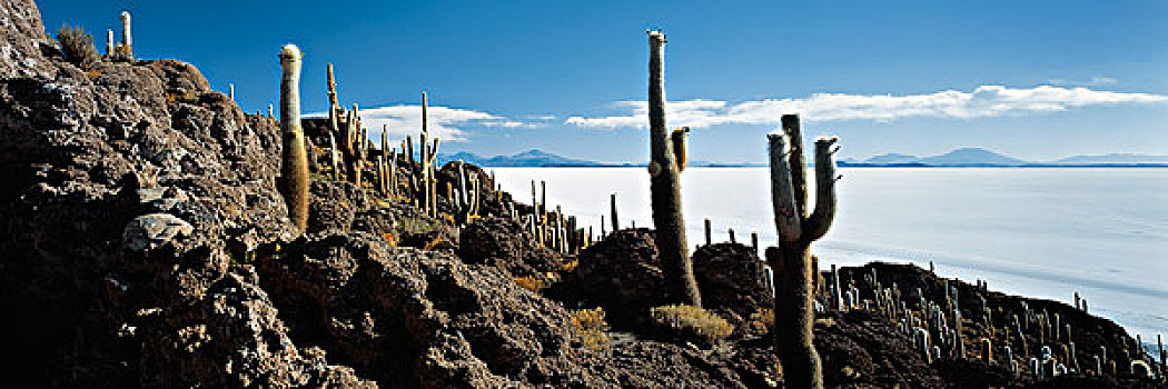 盐湖,玻利维亚