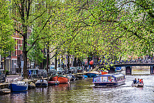 游船,春天,场景,运河,阿姆斯特丹,荷兰