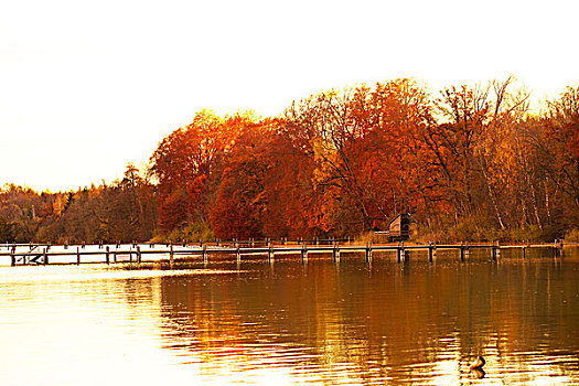 湖,秋天