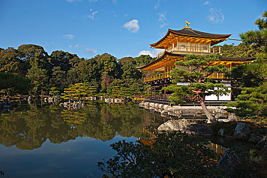 庙宇,金阁寺,京都,日本