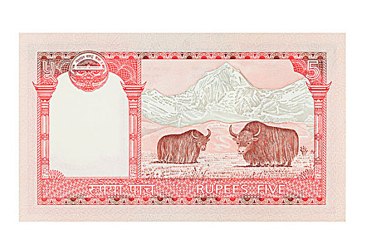 尼泊尔,五个,货币