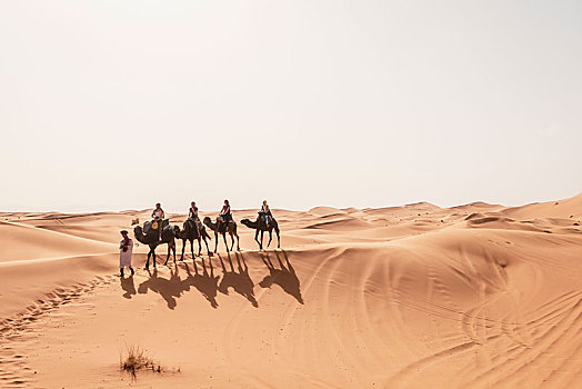 驼队,单峰骆驼,沙丘,沙漠,却比沙丘,梅如卡,撒哈拉沙漠,摩洛哥,非洲
