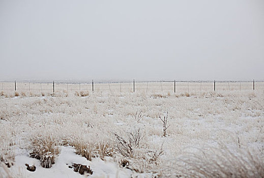 土地,围栏,雪