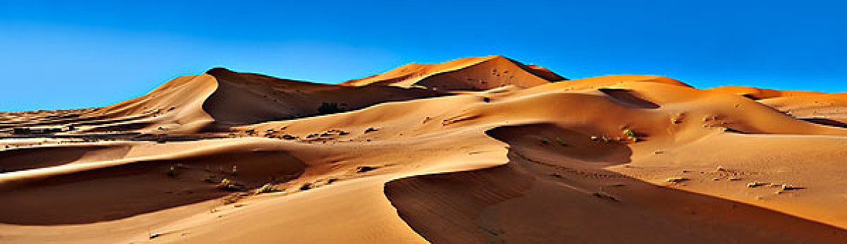 撒哈拉沙漠,沙丘,却比沙丘,摩洛哥,非洲