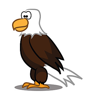 卡通,白头鹰,矢量,隔绝,白色背景,背景