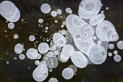 冰,泡泡,清晰,湿地,阿拉斯加