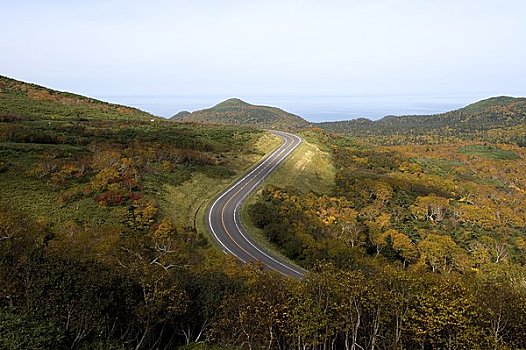 道路,自然,秋天