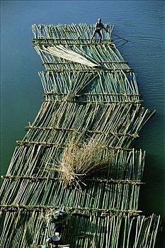 缅甸,竹子,筏子,河