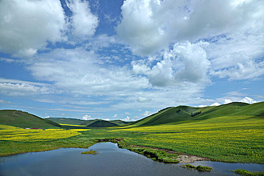 内蒙古科尔沁右翼前旗草原上的溪流