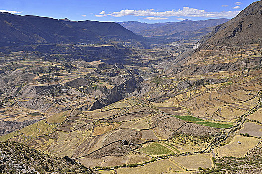秘鲁,山谷,梯田耕种
