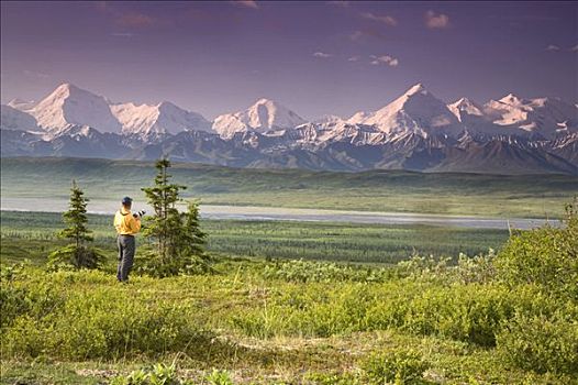 男性,游客,山,阿拉斯加山脉,靠近,旺湖,德纳里峰国家公园,夏天