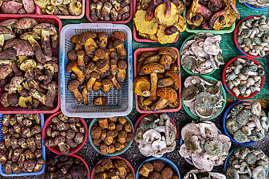 选择,不同,新鲜,蘑菇,昆明,中国