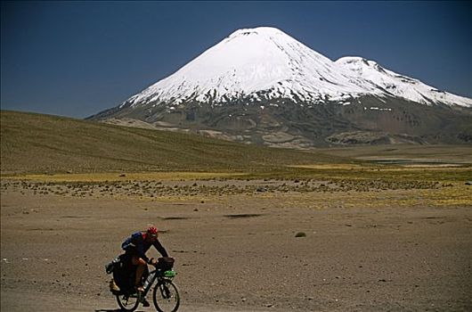 智利,探险,骑车,骑,仰视,拉乌卡国家公园