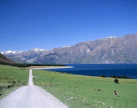 湖,南阿尔卑斯山,山脉,瓦纳卡,南岛,新西兰