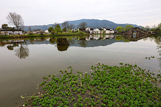 呈坎,安徽,古村落,旅游,景点,水乡,住宅,房子,小桥,拱桥,春天,居民,原生态