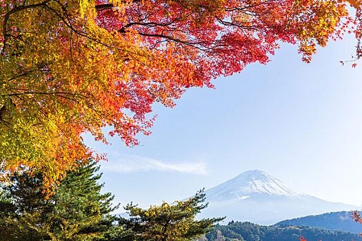 山,富士山,秋天,湖