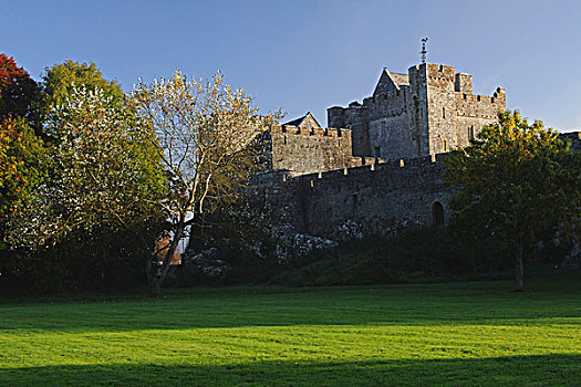 城堡,芒斯特,区域,蒂珀雷里郡,爱尔兰