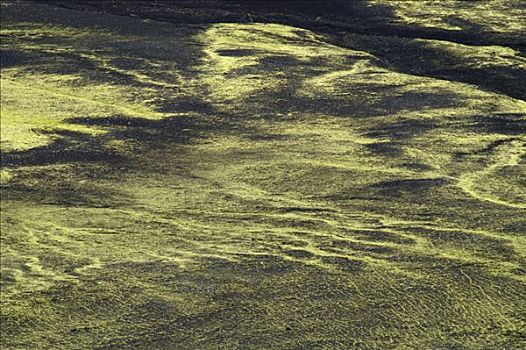 苔藓,黑色背景,火山,沙子,冰岛