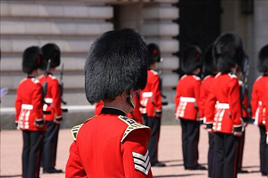皇家卫兵,正面,白金汉宫,伦敦,英格兰,英国,欧洲