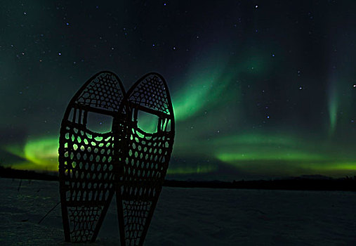 剪影,传统,木质,雪地鞋,北方,极光,北极光,绿色,靠近,育空地区,加拿大,北美