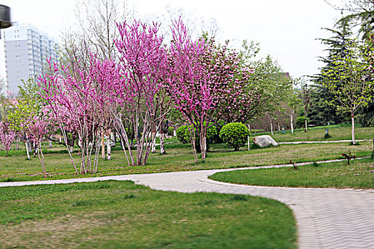 石家庄城市风光