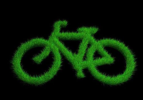 自行车,草