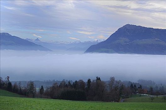 皇后,山峦,海洋,雾,瑞士