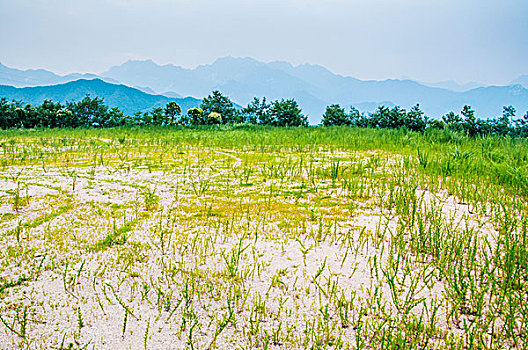 山顶平坦空旷的土地