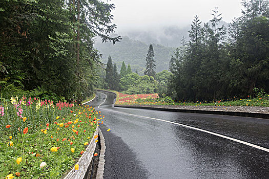 鲜花公路