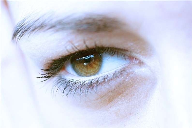 眼睛图片_眼睛高清图片_全景视觉