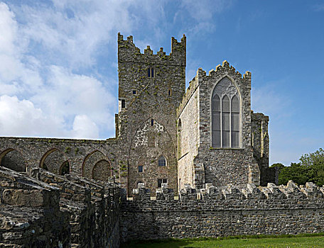 遗址,教堂,韦克斯福德郡,爱尔兰,欧洲