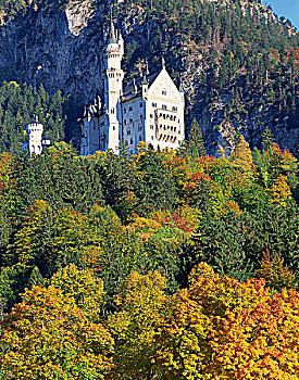 皇家,城堡,新天鹅堡,巴伐利亚,德国