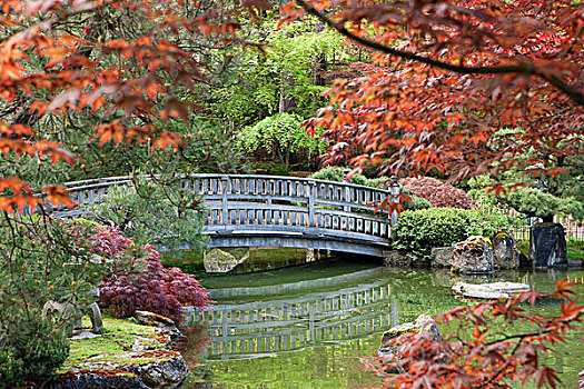 石桥,框架,叶子,反射,石头,东方风情,桥,日本,花园,公园