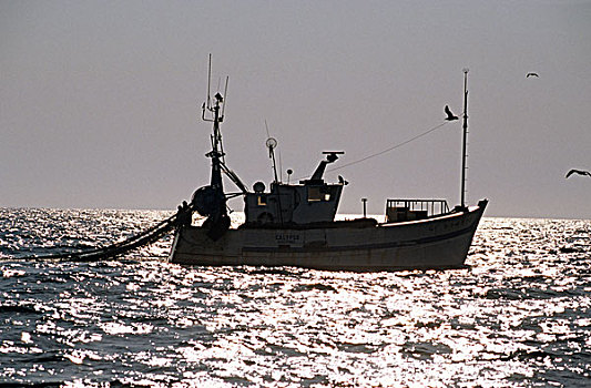 大螯虾,渔船,海上,靠近