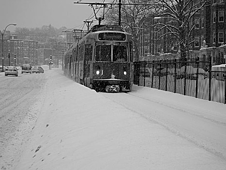 电车,雪中,波士顿,马萨诸塞,美国