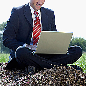 商务人士,坐,干草包,工作,笔记本电脑