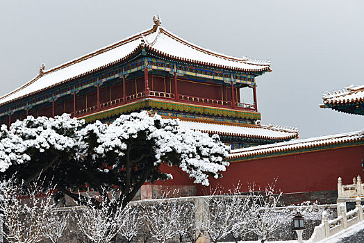 雪景宫墙