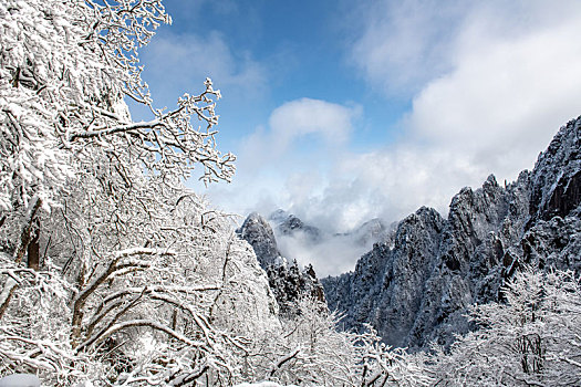 安徽黄山自然风光