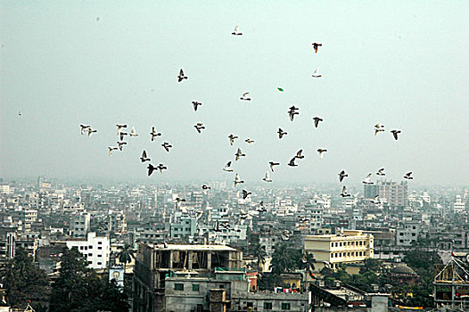 航拍,达卡,城市,孟加拉