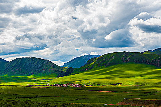 高山草甸