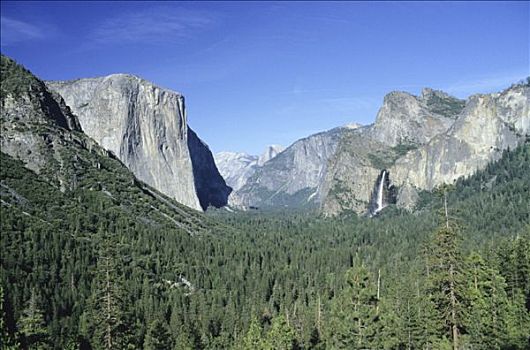 美国,加利福尼亚,优胜美地国家公园,优胜美地山谷,树林,悬崖