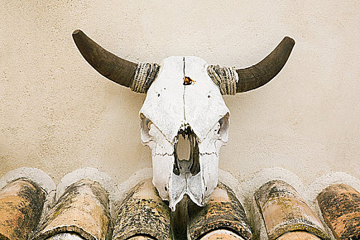 壁装式,牛,头骨,格拉纳达,西班牙