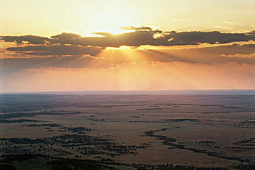 坦桑尼亚,塞伦盖蒂国家公园,日出,上方,塞伦盖蒂,大幅,尺寸