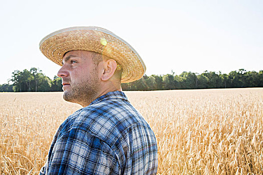 男人,戴着,格子衬衫,帽子,站立,玉米田,农民