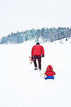 父亲,女儿,玩,雪橇