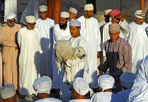 技工,山羊,市场,尼日瓦,阿曼苏丹国