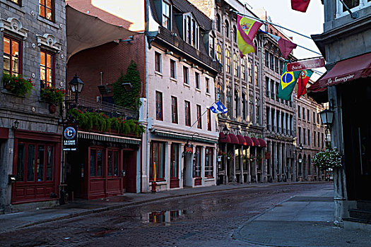 街道,蒙特利尔,魁北克,加拿大