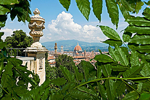 全景,室外,上方,佛罗伦萨,花园,世界遗产,托斯卡纳,意大利,欧洲