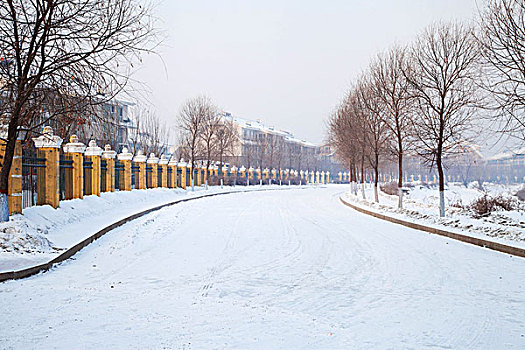 白雪覆盖着的道路